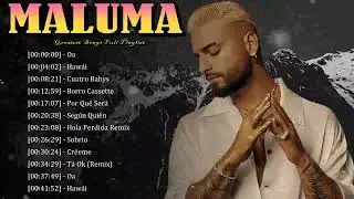 🎵 Maluma &ndash; His music captures love, fun, and the vibrant spirit of Latin pop 🌟