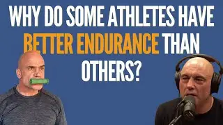 Why do some athletes have better endurance than others?