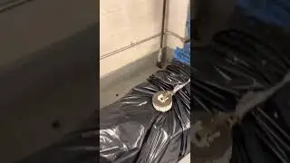 A look inside a trash compactor room in a hi-rise NYC