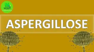 ASPERGILLOSE : cours de parasitologie mycologie médicale