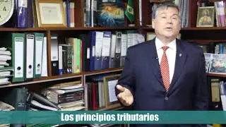 Hablemos de tributación - Los principios tributarios