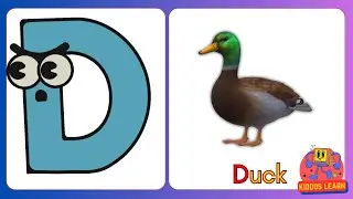 Phonics Letter D Song & Story with vocabulary |25+ D Words for toddlers & preschool kids!