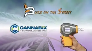 The Latest &ldquo;Buzz on the Street&rdquo; Show:Featuring Cannabix Technologies (OTC:BLOZF)(CSE:BLO) News Recap