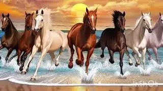 🔥🐎 हॉर्स रेस का जबरदस्त मुकाबला | Fastest Horse Race | Horse Racing Video#HorseRace#Racing#Fast#Run