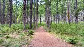 Что посетить на Хоккайдо: дикий остров Nakajima | Хайкинг | Влог | Unesco Global Geopark Toya-Usu