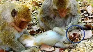 So Strange Dana & Donny When They Meet Each Other, It Is Like This,But Keep Silent With Dolly