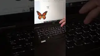 Butterfly MS Word Shortcut Key #learneasy