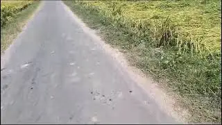 8.5 kille Land for sale with moter Subhanpur, kapurthala, punjab. mb8284905110,9815934548,9316167007