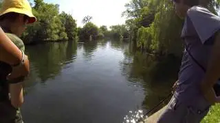 Family Fishing Day: Toronto Urban Fishing Ambassador sightfishing for Bowfin