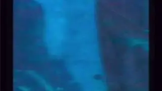 Sonia Vera - Cybersonica AV Lab