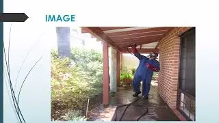 Half Price Pest Control- The best Residential Pest Control in Merriwa.