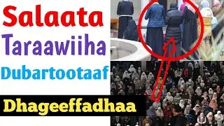 Salaata Taraawiihaa Dubartootaaf |Akkamitti Taraawiiha Salaatna | Ajrii Salaata Taraawiihaa