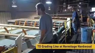 TS Grading Systems Overview