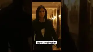 tiger 3 three day box office collection