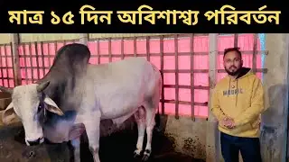 ১৭০ - মাত্র ১৫ দিন অবিশাশ্ব্য পরিবর্তন