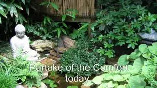 The Comfort Abounds (NYCYPCD)