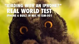 Best External Mic for Birding with iPhone 6: EIM-001 vs iPhone 6