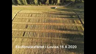 Dr&ouml;narfilm fr&aring;n ekof&ouml;rs&ouml;ksf&auml;ltet i Lovisa 16.8.2020