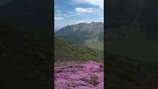 2025/06/06 Mt.HIIJI 平治岳#miyamakirishima🌸