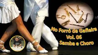 No Forró de Gafieira Vol 6