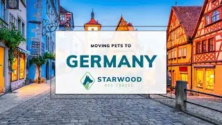 Moving Pets to Germany | Starwood Pet Travel