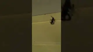 Australian Spider White Porch Spider Eating a Grey House spider! I hope you enjoy! Thanks Sub4more