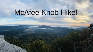 We saw 2 black bears on our hike to McAfee knob!!!!