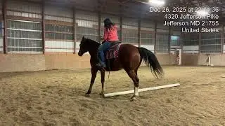 Lindsay Wine on Running Outta Tyme Ranch WJ Pattern