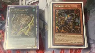 Seattle Regional 5th Place VANQUISH SOUL K9 Deck profile February 2026
