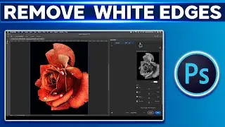 How to Remove Unwanted White Edges in Photoshop