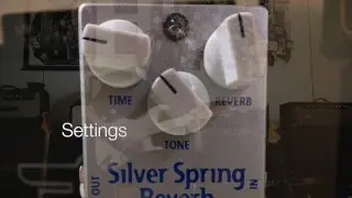 Mad Professor Silver Spring Reverb into a blackface Fender Showman amp