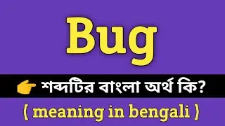 Bug Meaning in Bengali || Bug শব্দর বাংলা আর্থ কি? || Word Meaning Of Bug