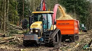 Bosbouw/ Hout snipperen met Challenger MT 765C  Mechielsen Oldehove.