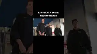 K-9 SEARCH Teams Mobilized for MAUI Mission!