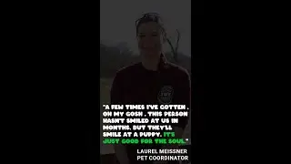 Meet Pet Coordinator Laurel Meissner