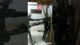Nelayan Seafood Cianjur