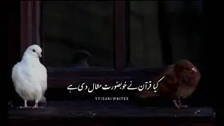 kya quran ne khubsurat misaal de hai || best islamic poetry ll Urdu poetry #zakiwritex