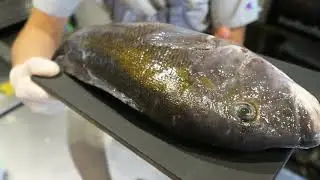 Osakana Fish School 2 - How to buy fresh fish -