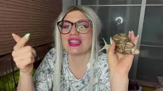 Was ich mich Fragen muss bevor ich eine Schnecke kaufe!