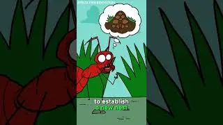 The Shocking Reality of Ant Slavery: Polyergus vs. Formica
