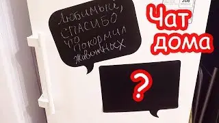 VLOG Даша застряла в туалете. Чат на холодильнике. Костя чудит