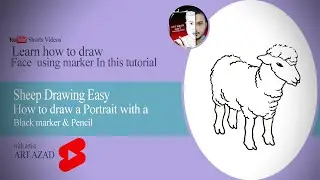 Sheep Drawing Easy - Art for kids #shorts