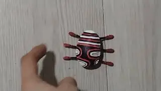 Guillermo,s spoon bug