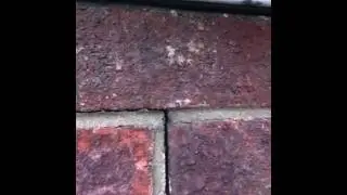 Cracking to brickwork in a timber framed house