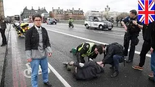 UK Parliament attack: Car mows into pedestrians, policeman stabbed before shots were fired - TomoNew