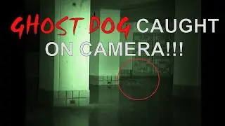 Mystic Ghost - Baker Hotel Apparition Footage
