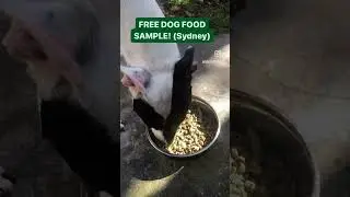 Free Sample #dog #freshdogfood