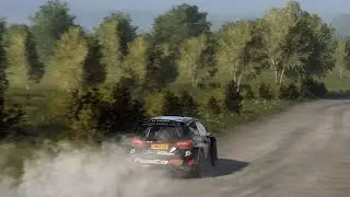 Final stage and just keep driving podium is the key Dirt Rally 2.0 mouse steering