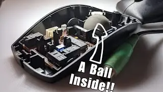 A Ball in An Old Mouse! This Is What I Found!