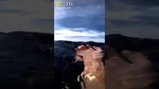 l&auml;ke g&agrave;m&iacute;&ntilde;g
